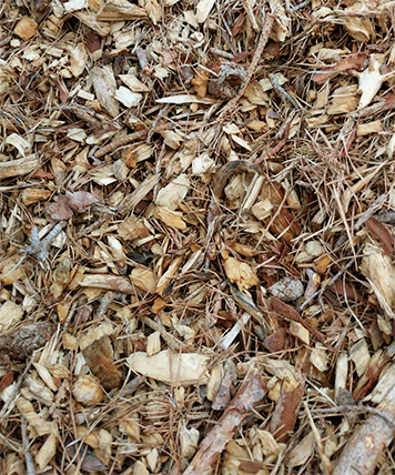 Woodchip SM3